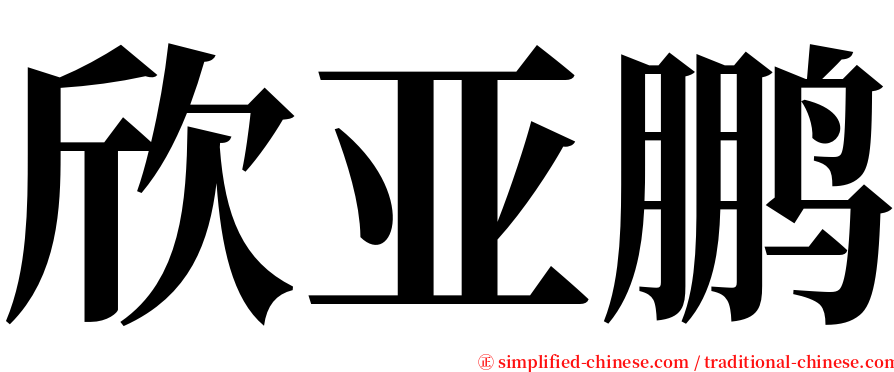 欣亚鹏 serif font