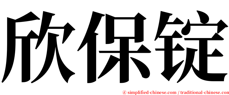 欣保锭 serif font