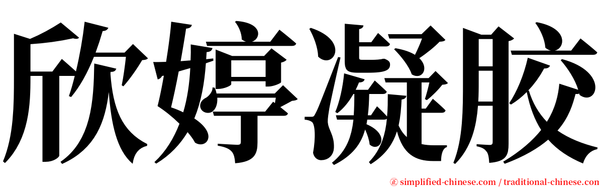 欣婷凝胶 serif font