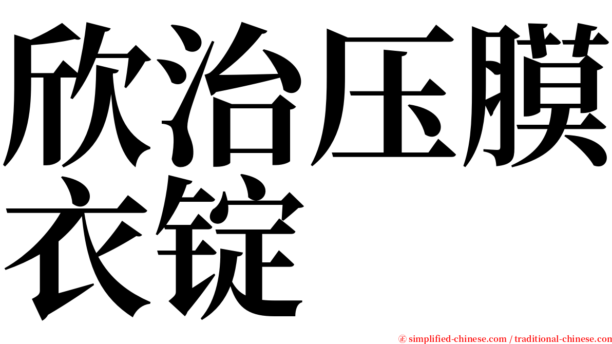 欣治压膜衣锭 serif font