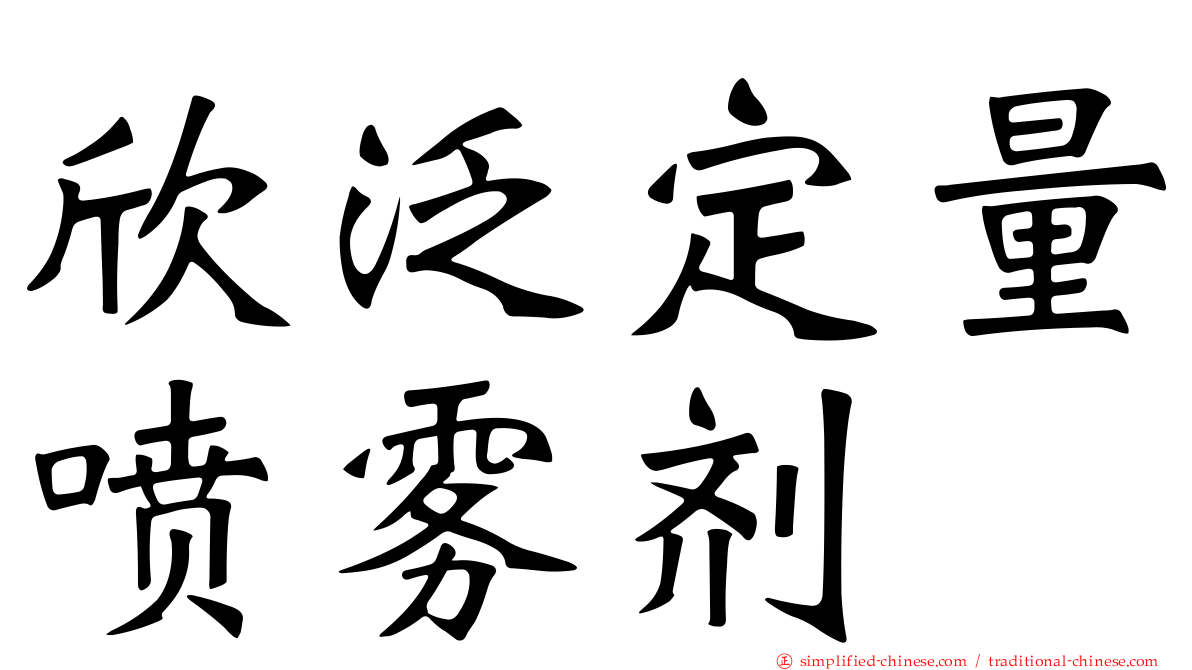 欣泛定量喷雾剂