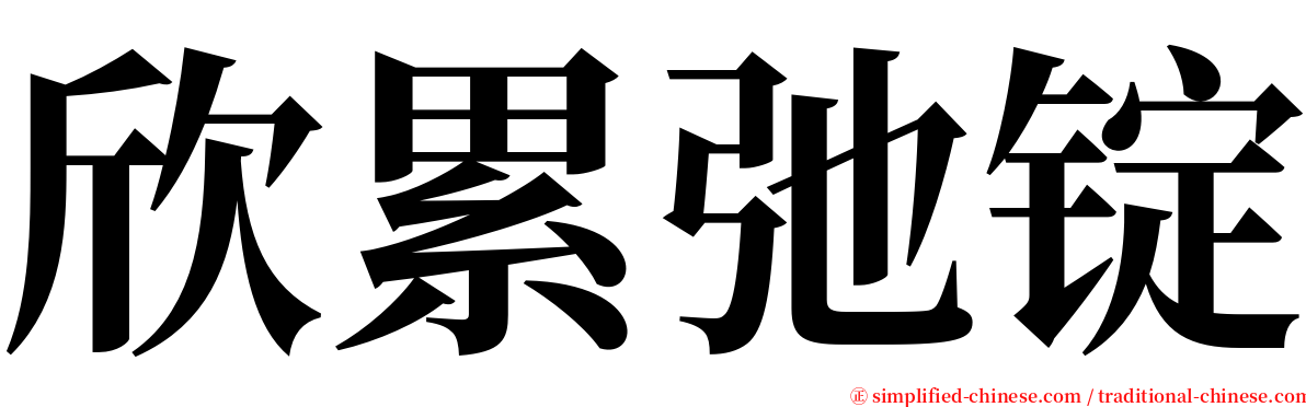 欣累弛锭 serif font