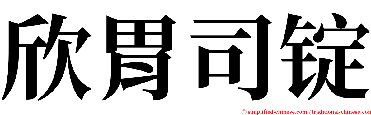 欣胃司锭 serif font