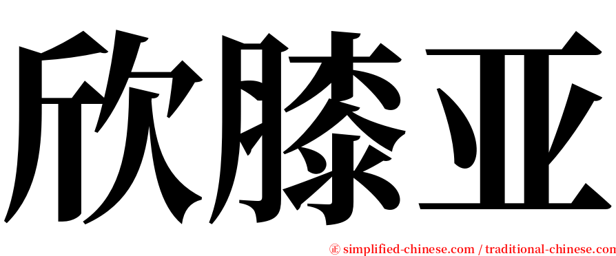 欣膝亚 serif font