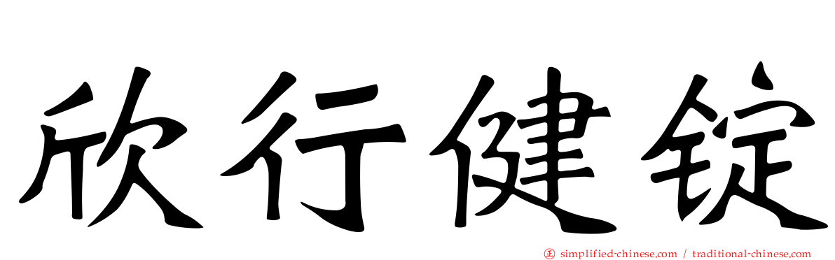欣行健锭