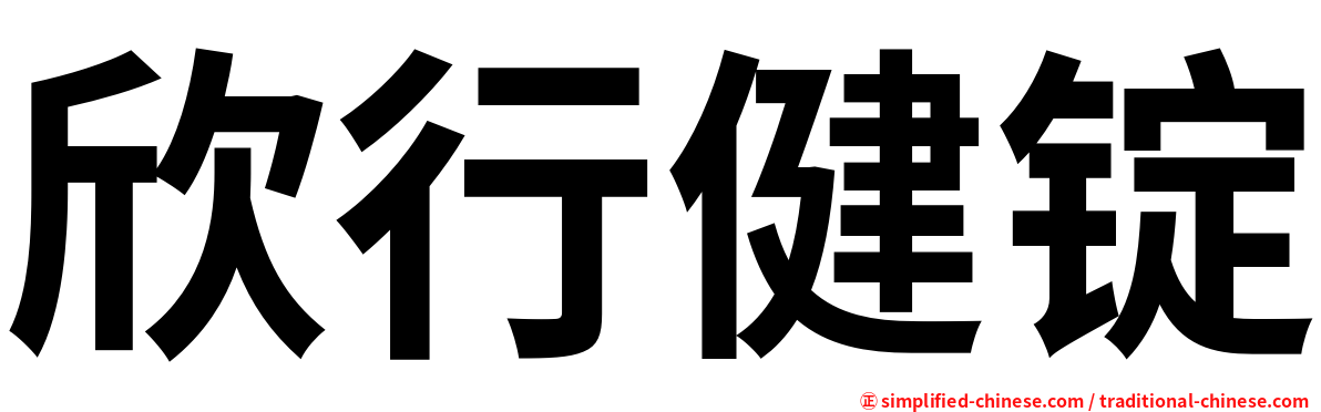 欣行健锭