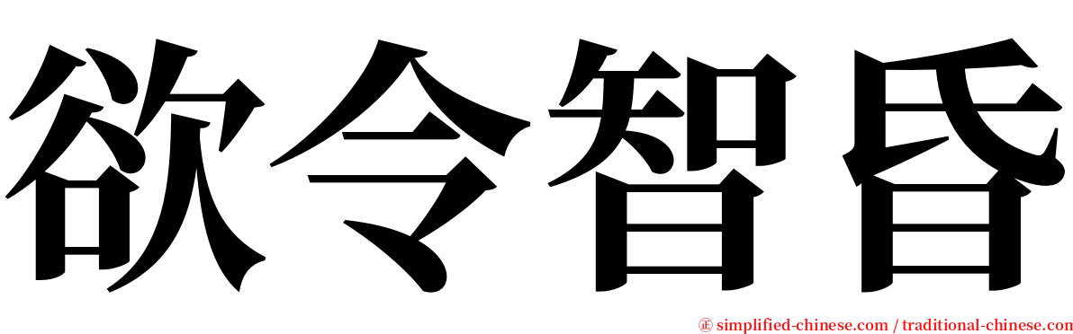 欲令智昏 serif font
