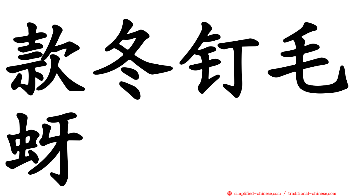 款冬钉毛蚜