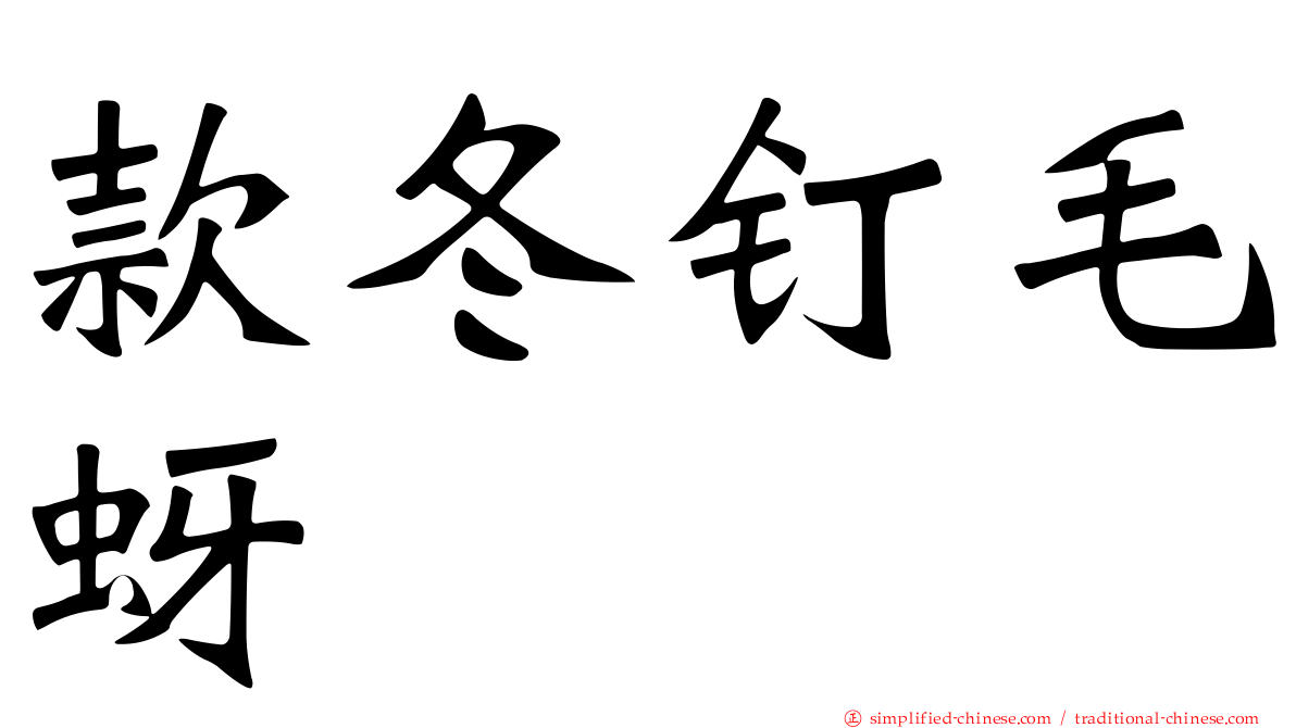 款冬钉毛蚜