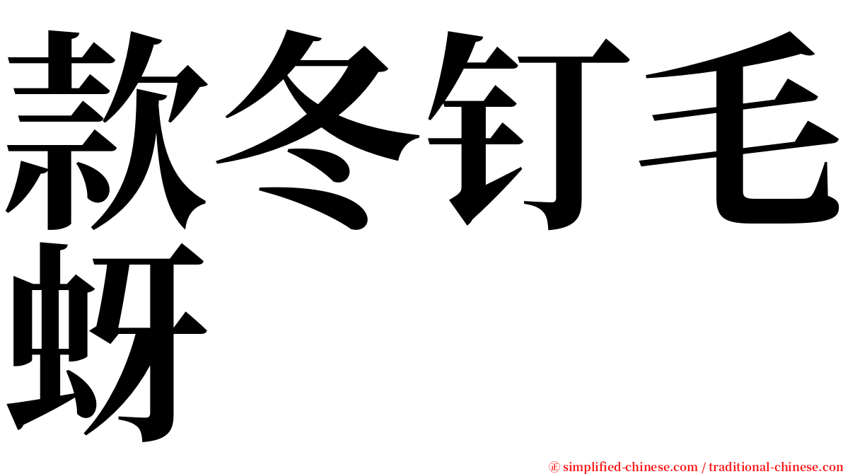 款冬钉毛蚜 serif font