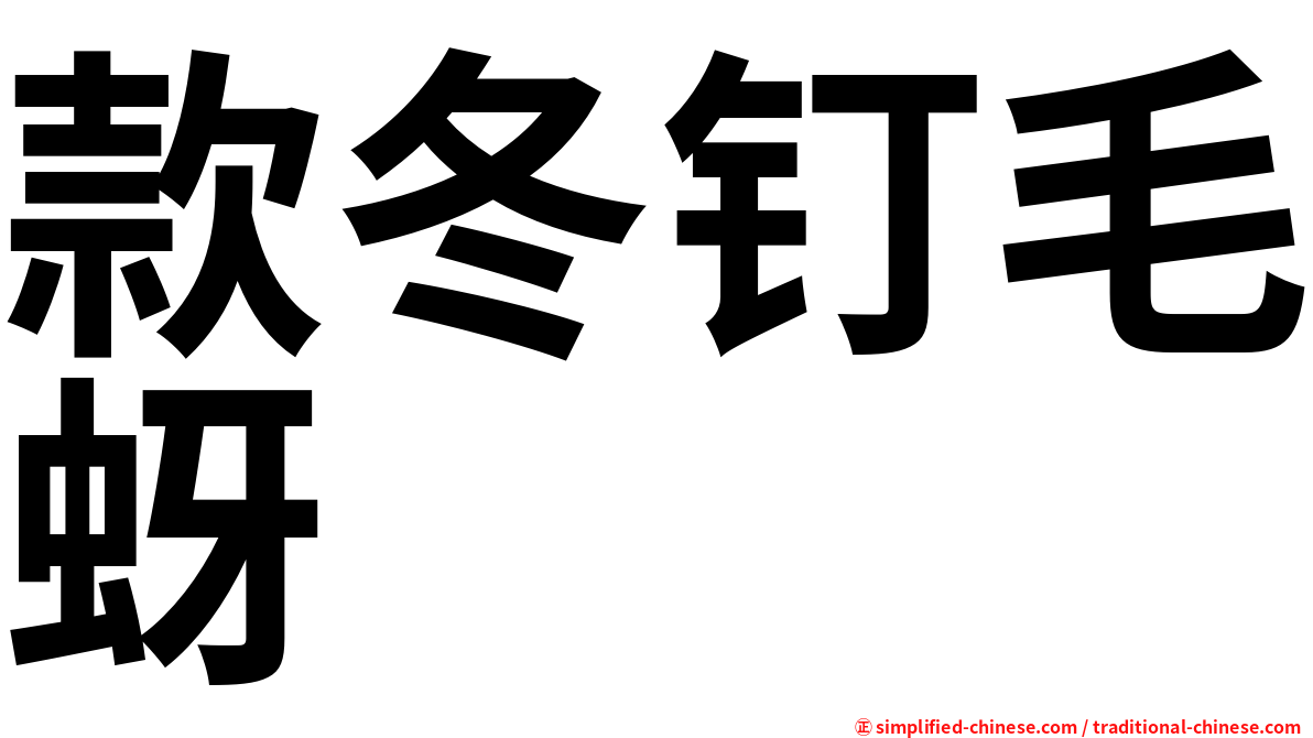 款冬钉毛蚜