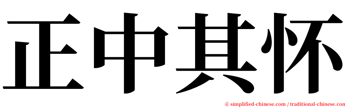 正中其怀 serif font