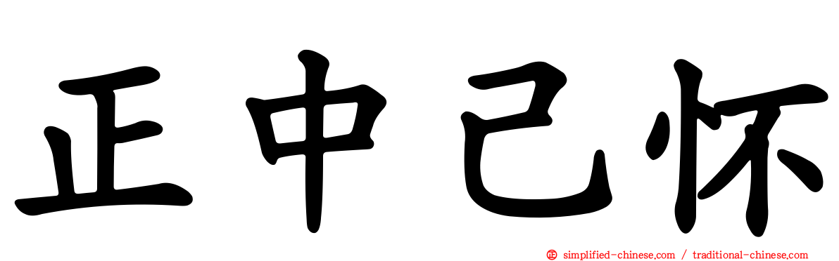正中己怀