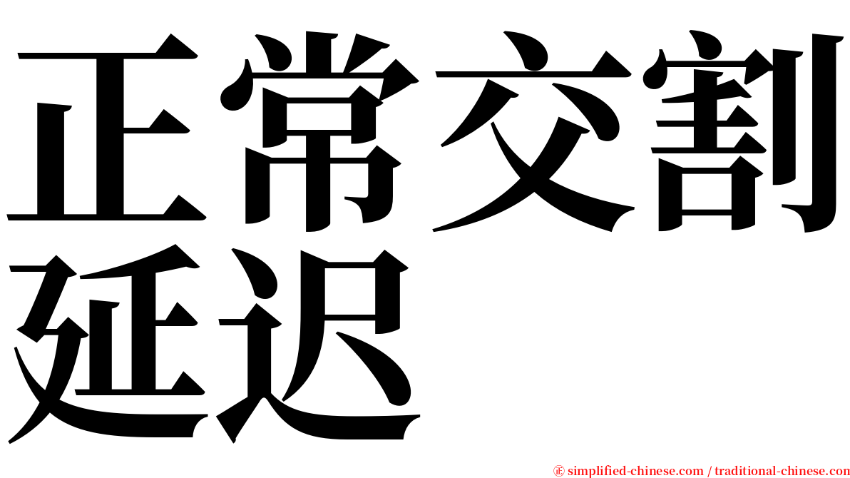 正常交割延迟 serif font