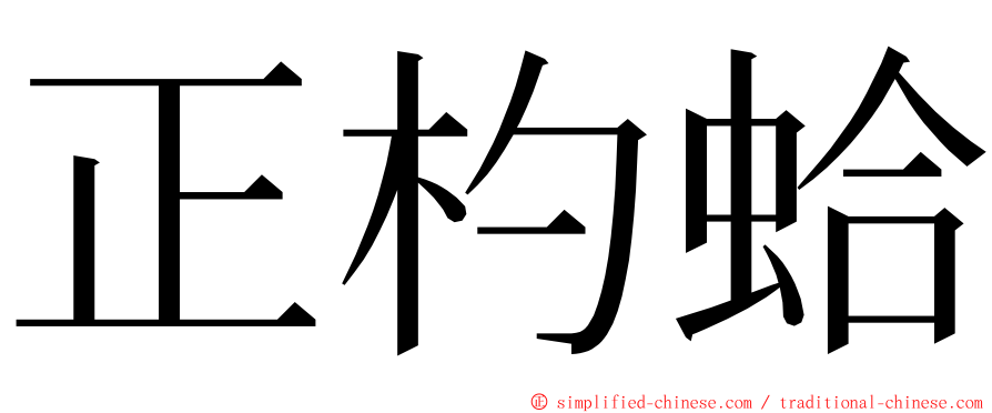 正杓蛤 ming font