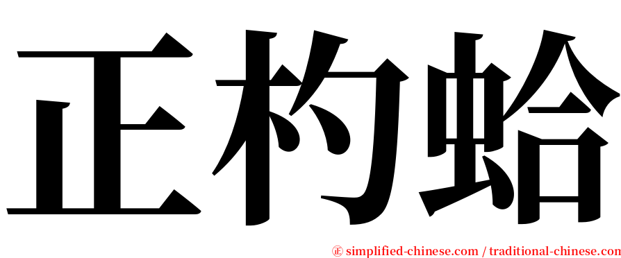 正杓蛤 serif font