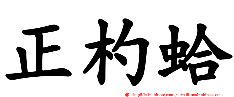 正杓蛤