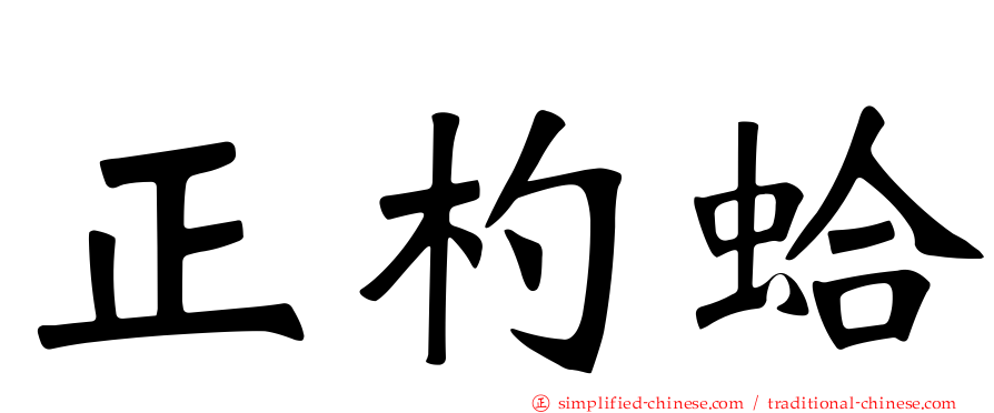 正杓蛤