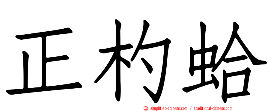正杓蛤