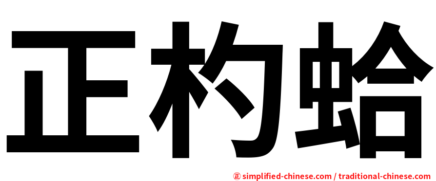 正杓蛤