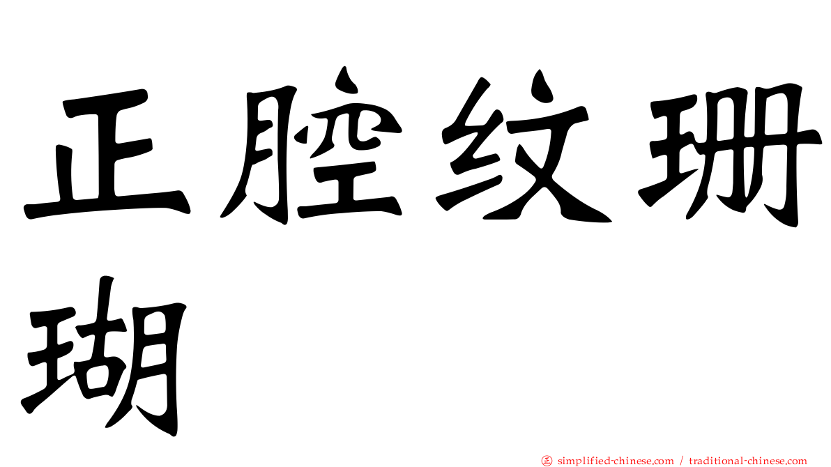 正腔纹珊瑚