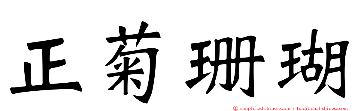 正菊珊瑚
