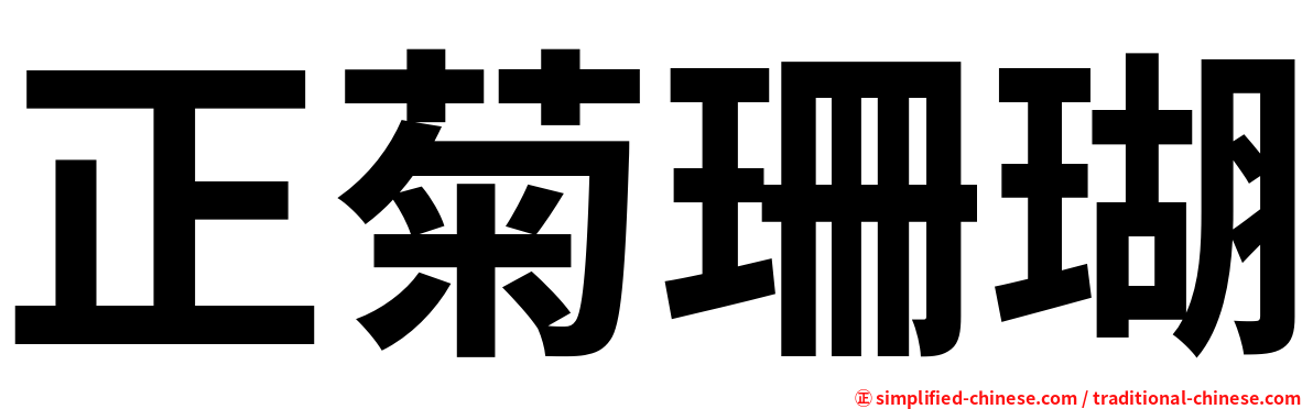 正菊珊瑚