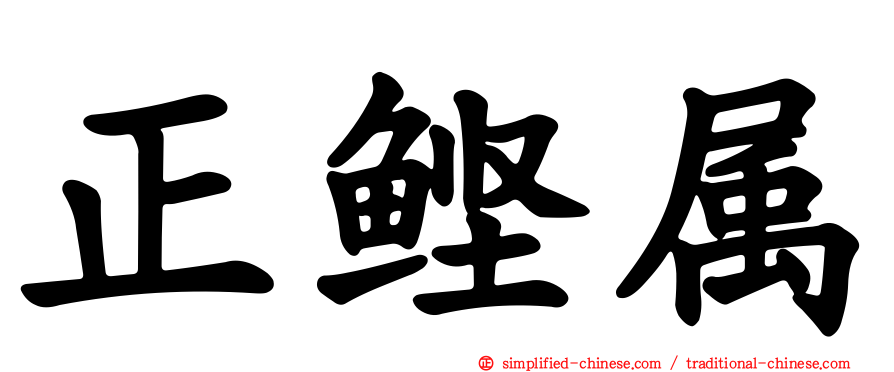 正鲣属