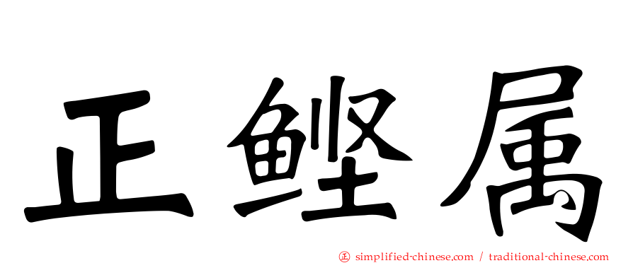正鲣属