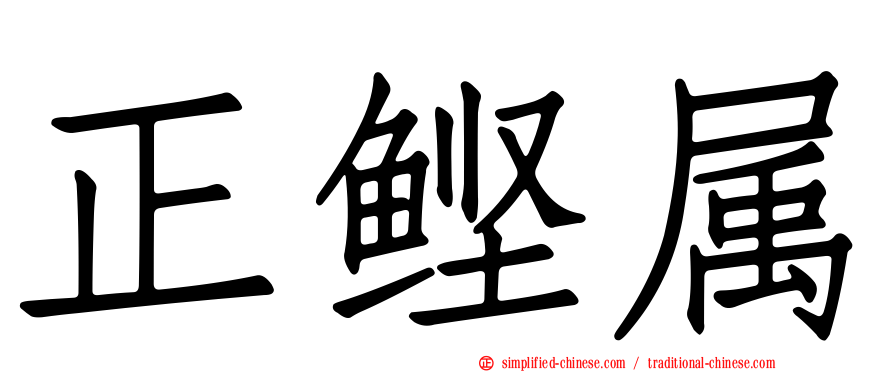 正鲣属