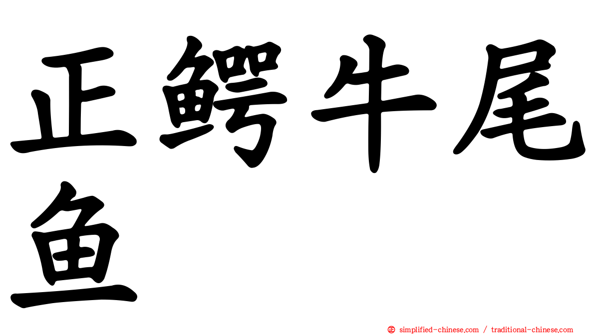 正鳄牛尾鱼