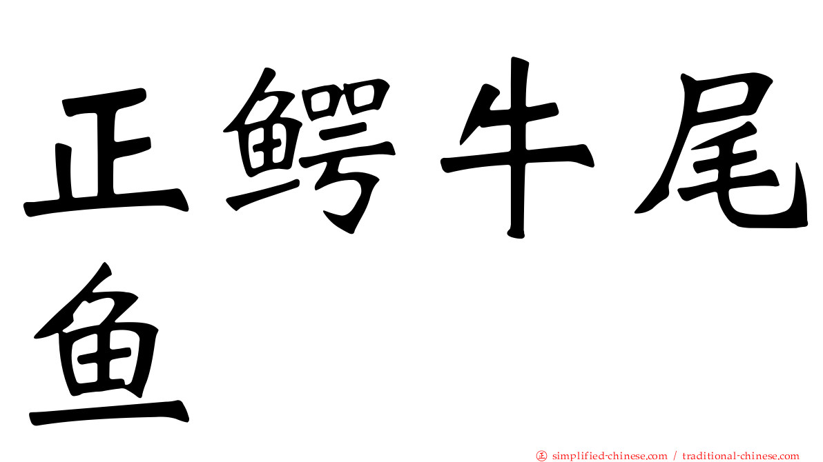 正鳄牛尾鱼