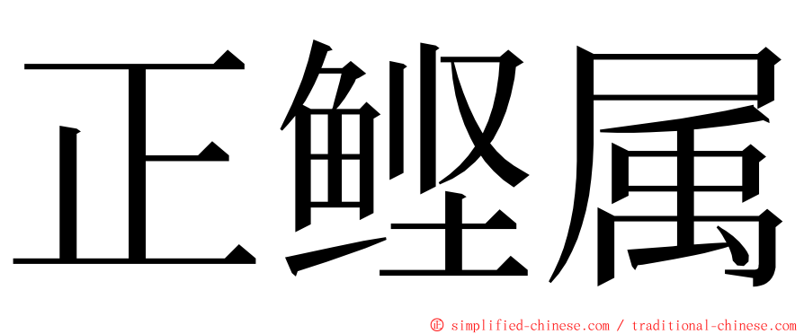 正鲣属 ming font