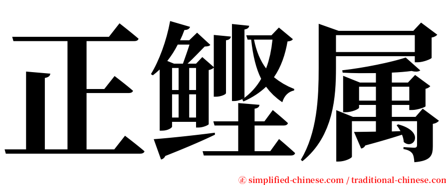 正鲣属 serif font