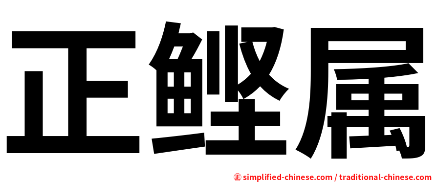 正鲣属