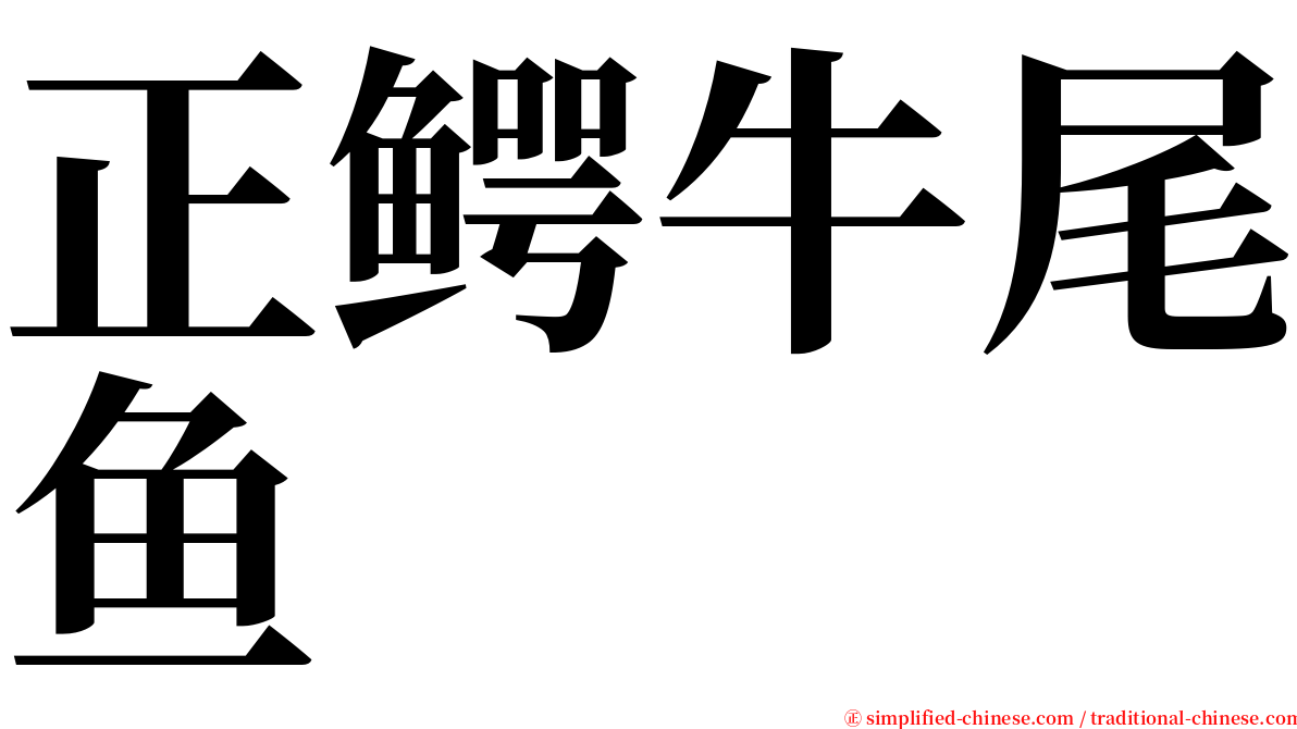 正鳄牛尾鱼 serif font