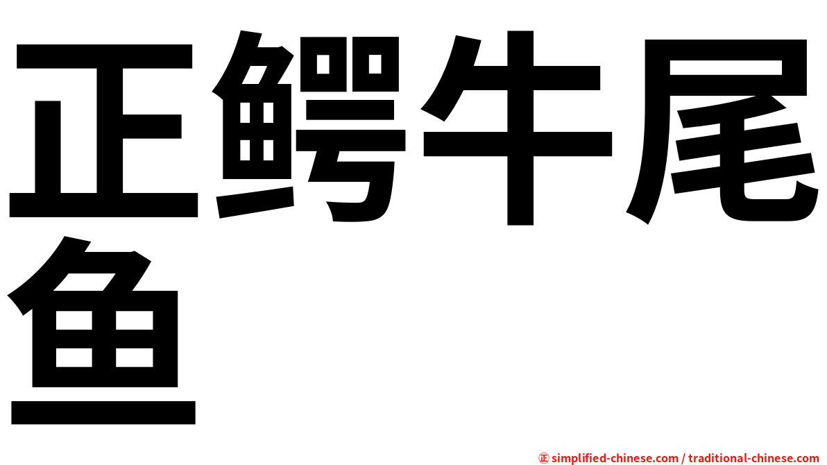 正鳄牛尾鱼