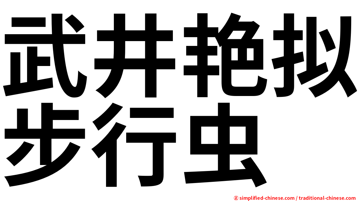 武井艳拟步行虫