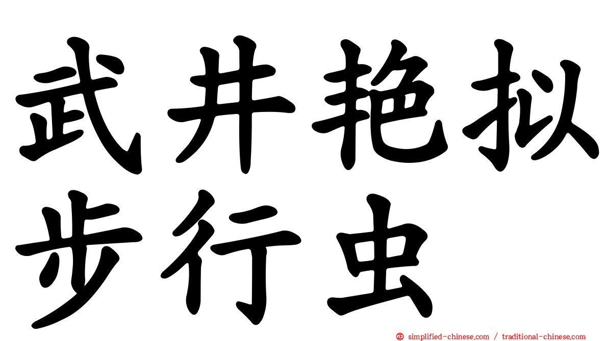 武井艳拟步行虫