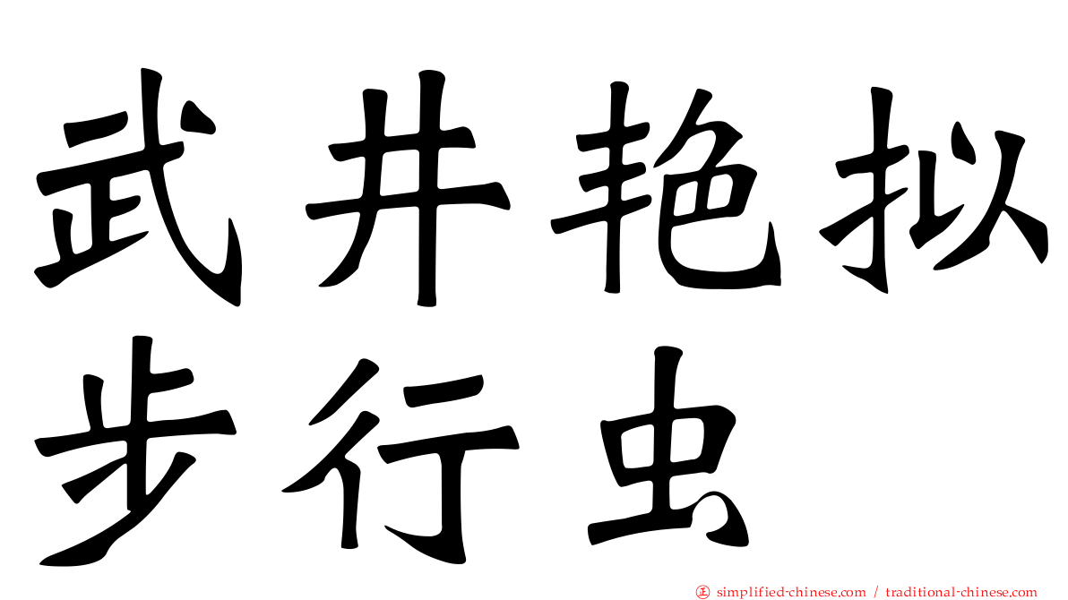 武井艳拟步行虫