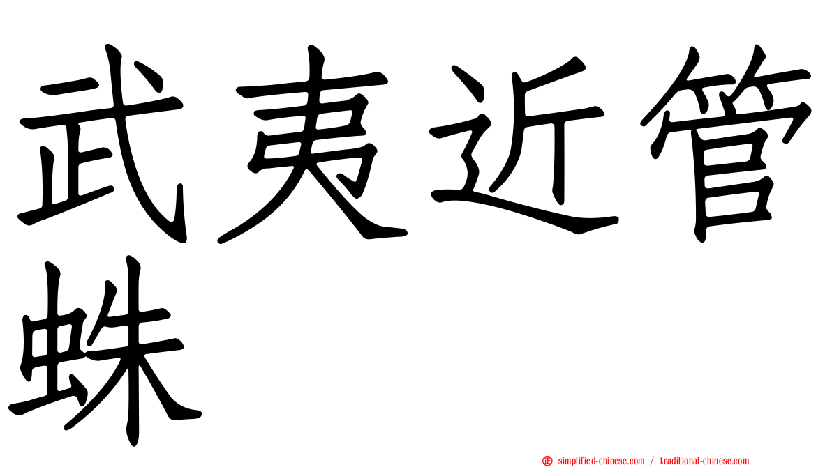 武夷近管蛛