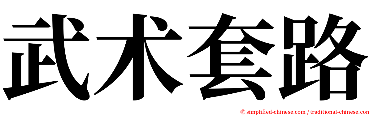 武术套路 serif font