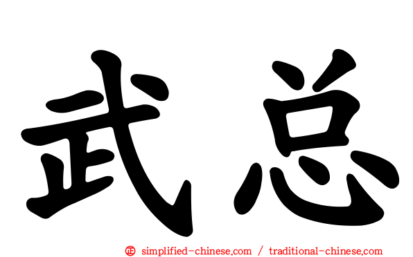 武总