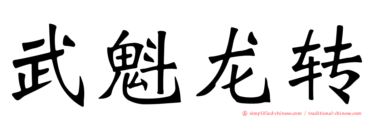 武魁龙转