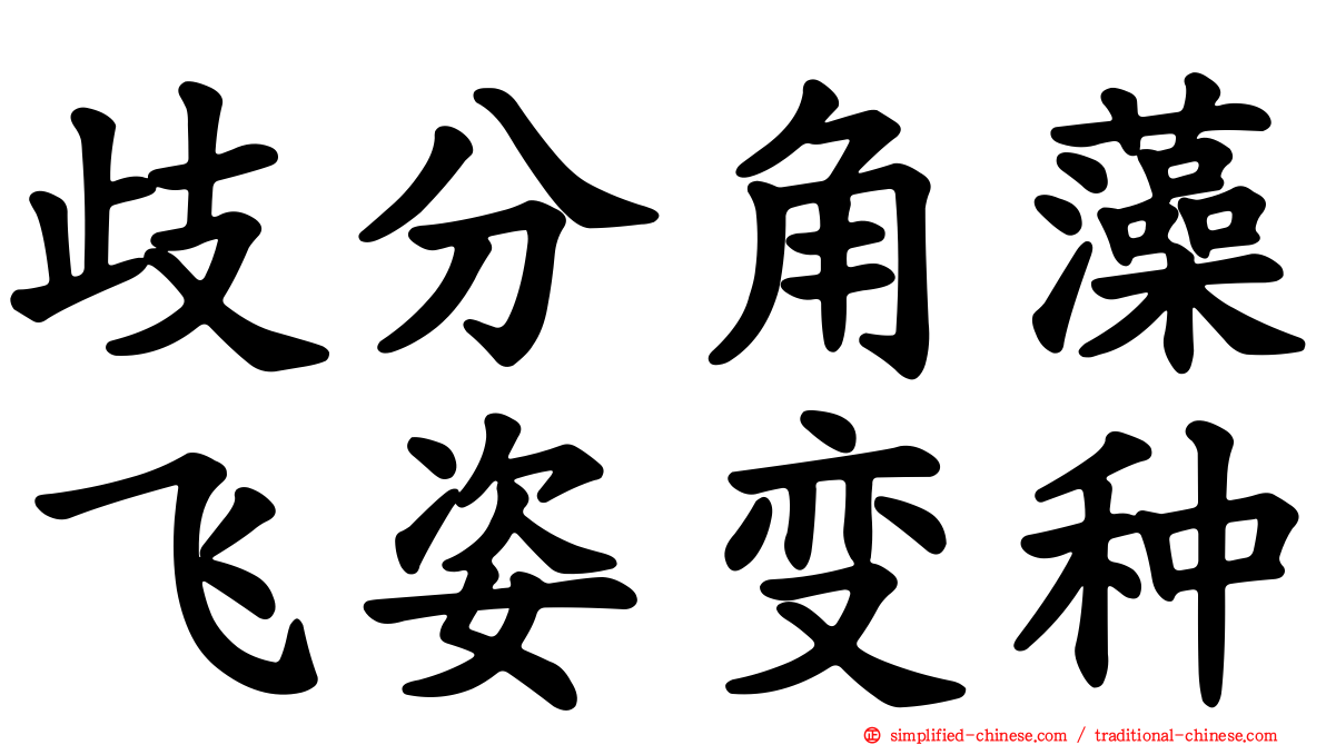 歧分角藻飞姿变种
