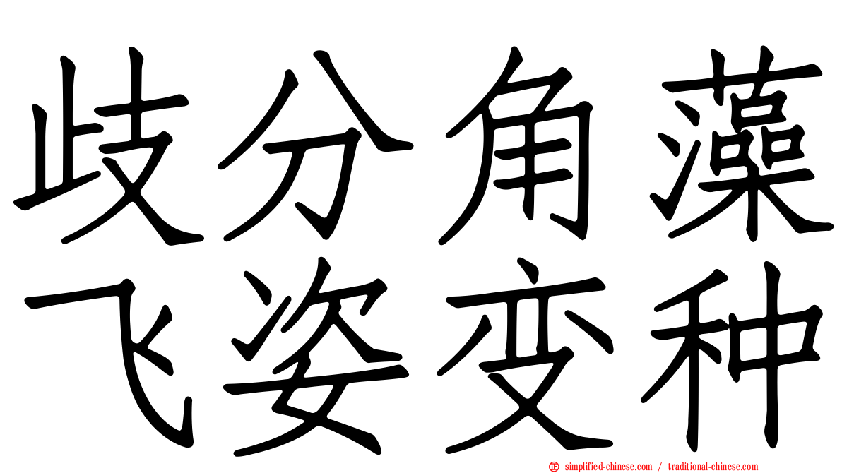 歧分角藻飞姿变种
