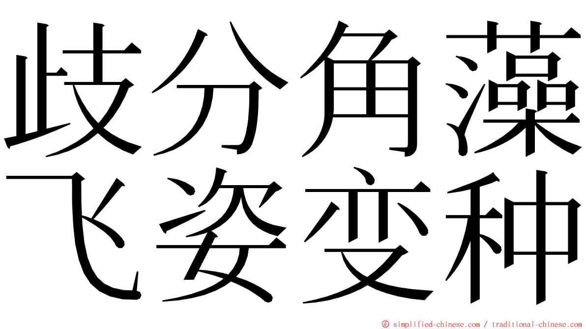 歧分角藻飞姿变种 ming font