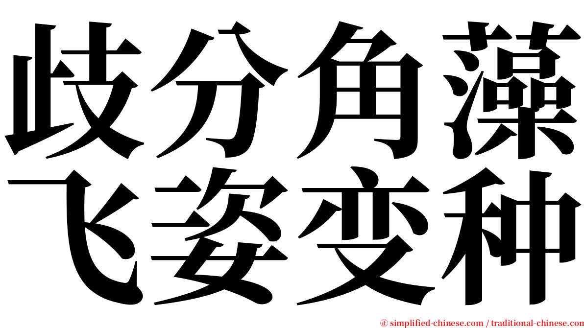 歧分角藻飞姿变种 serif font
