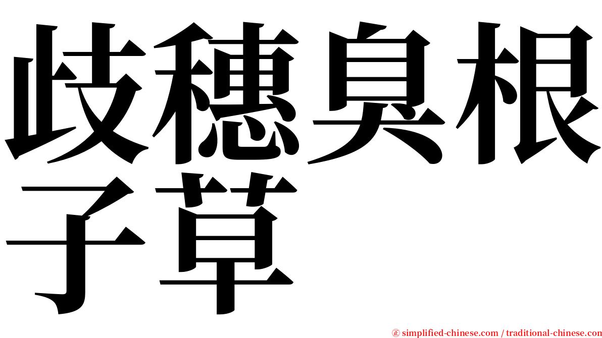 歧穗臭根子草 serif font