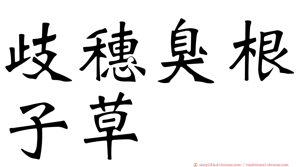 歧穗臭根子草